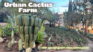 Urban cactus farm tour The Cactus Jones Trichocereus [upl. by Enilaf28]