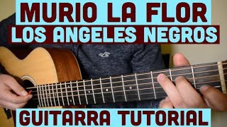 Murio La Flor  Tutorial de Guitarra  Los Angeles Negros  Para Principiantes [upl. by Salokkin605]