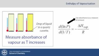 Beer Lambert and Enthalpy of Vapourisation using Absorbance Spectroscopy [upl. by Giarc854]