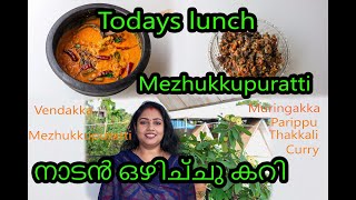 ഇന്നത്തെ ഊണ്lunch menuparippu thakkali muringakka currymezhukkupurattivlogNeethas Tasteland596 [upl. by Oiralednac195]