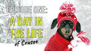 Episode One A Day in the Life of Crusoe [upl. by Arykahs]