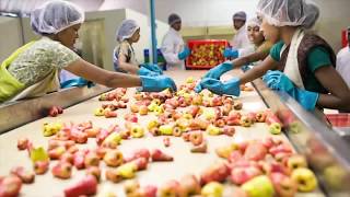 Cashew Picking and Juicing Process in India [upl. by Mariele]