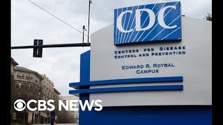 Doctor weighs in on CDC warning of drugresistant Shigella bacteria causing stomach illnesses [upl. by Attenyl]