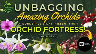 Late Upload Unbagging Orchid Gifts from Orchidfortress [upl. by Farrand]