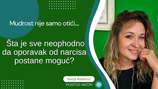 Šta je sve neophodno da oporavak od narcisa postane moguć [upl. by Winfrid478]