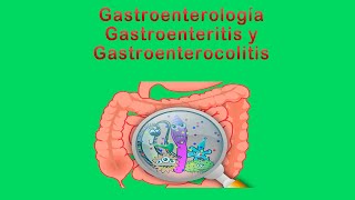 Gastroenterología Gastroenteritis y Gastroenterocolitis [upl. by Stoecker867]