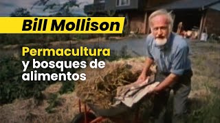 Bill Mollison  Permacultura y bosques de alimentos [upl. by Sibley52]