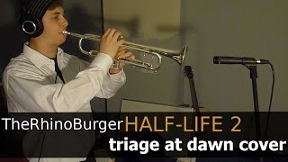 HalfLife 2  Triage at Dawn Guitar Cover ft Barry King [upl. by Llenyaj940]