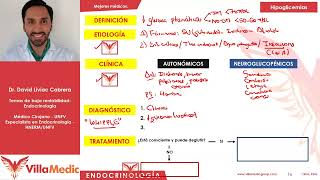 Hipoglicemias  Endocrinologia Villamedic [upl. by Marcelle]