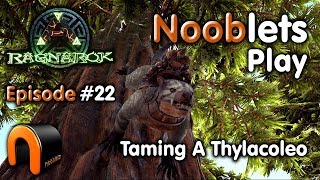 ARK  HOW TO TAME A THYLACOLEO  Episode 22 Ragnarok Lets Play [upl. by Tedder]