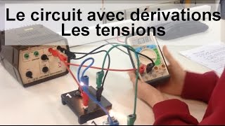 Le circuit avec dérivations  les tensions [upl. by Atteuqehs]