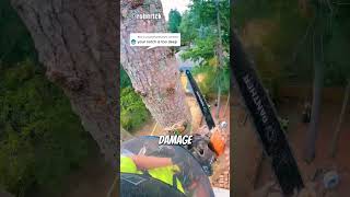 Removing Tree In A Tight Spot😱 arborist logging chainsawman [upl. by Naryk]