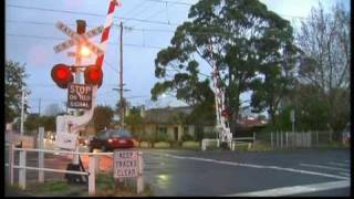 The 50 most dangerous level crossings [upl. by Ahseenat91]