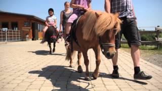 Ferienhof SchulteGÃ¶bel SchmallenbergSelkentrop [upl. by Mor]