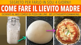 Come Fare Il Lievito Madre In 4 Giorni  Perfetto Per Pane e Pizza  Ricetta di Gigio Attanasio [upl. by Gerhard816]