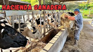 Impresionante HACIENDA GANADERA productora de LECHE 🥛🐄 Josué y Elie [upl. by Sihtnyc573]