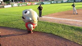 Madison Mallards Game Fun 2016 [upl. by Siver]