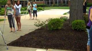 Gait Bilateral Swing To Crutch Ambulation [upl. by Atinuj]