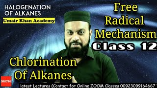 Halogenation Chlorination of Alkanes by Free Radical Mechanism Class 12 OrganicChemistryUrduHindi [upl. by Grane]