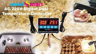 amiciSmart Dual Temperature Controller Incubator Thermostat AS T3012  Wiring Diagram For Thermostat [upl. by Wilbert]