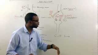 Tricyclic antidepressants TCA Pharmacology [upl. by Nordine99]