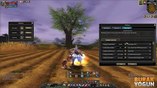 Silkroad Online  AutoHunt Settings [upl. by Neibart]