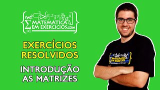 Exercícios Resolvidos  Matrizes introdução  Prof Gui [upl. by Wilkison942]