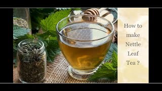 HOW TO MAKE NETTLE TEA NETTLE TEA RECIPE FOR KIDNEY HEALTH [upl. by Yruama]