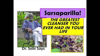 Why Sarsaparilla is the Sparkplug of the Body Dr Sebi [upl. by Alarick]