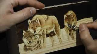 Pyrography project 45 [upl. by Hurwitz]