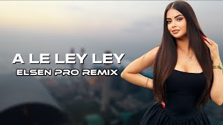 Elsen Pro  A Le Ley Ley Tiktok Remix [upl. by Carlee737]