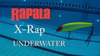 Rapala XRap игра под водой [upl. by Mini]