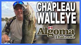 Chapleau River Walleye New season teaser [upl. by Dyson]