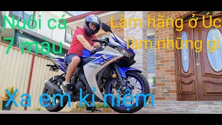 Làm hãng ở Úc  làm những gì Xa Em Kỷ Niệm [upl. by Alket626]