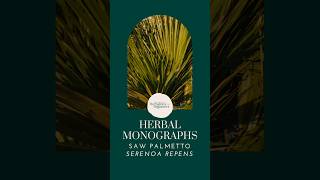 Saw Palmetto  Herbal Mongraph  Herbalism for Beginners [upl. by Amalbena]