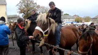 Foire aux chevaux de FaysurLignon 2016 [upl. by Aninep463]