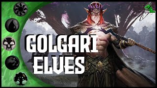 GolgariWitherbloom Elves Aggro Standard Deck Gameplay  MTGA  MTG Arena  Magic Arena [upl. by Naeloj850]