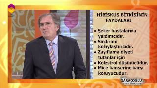 Tıbbi Bitkiler  Hibiskus Bitkisi  DİYANET TV [upl. by Aloise652]