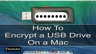 How To Encrypt a USB Drive on Mac [upl. by Ahsienel]