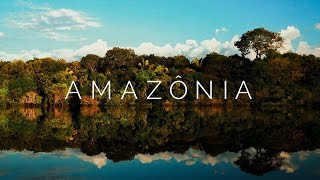 AMAZÔNIA  Viagem pela Floresta Amazônica Brasil  4K Ultra HD [upl. by Safoelc276]