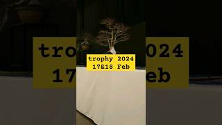 Bonsai Trophy 2024 is near [upl. by Araccot]