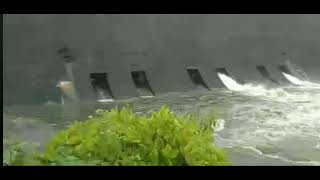 🌊🌉 Sluice gate opening இங்கினியாகலை DSSenayaka சமுத்திரம் வாண் கதவுகள் திறக்கப்பட்டன 02012024 [upl. by Wall961]