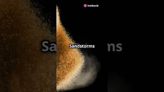 What Causes Sandstorms 🌪️ ai facts sandstorm [upl. by Esiuol]