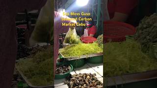 Sea Moss philippinefood seaweeds guso carbonmarket cebu philippines whattoeat whattobuycebu [upl. by Harper]