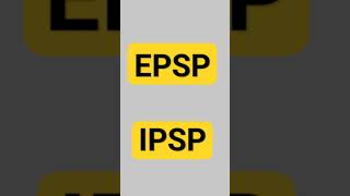 EPSP amp IPSP [upl. by Ayikur]