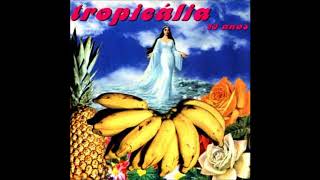 Tropicália 30 anos  full album [upl. by Banks126]