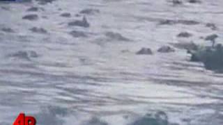 Alligator Feeding Frenzy Caught on Tape [upl. by Retsam]