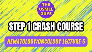 HemeOnc Lecture 6  USMLE Guys Step 1 Crash Course [upl. by Golliner965]