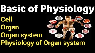 Basic of physiology  Physiology introduction  Theory and practical class of mlt and histopathology [upl. by Wenda]