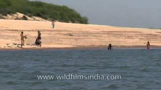 Bathing on the river banks of Chambal river Madhya Pradesh [upl. by Trevah]